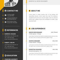 42428380_CV-Template-01 (1) (1)