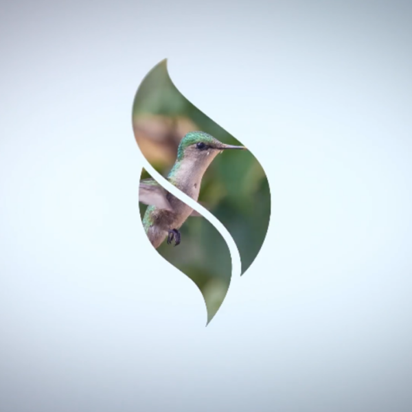 Logo fotografico
