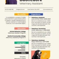 resume-template-design_742173-15405 (1)